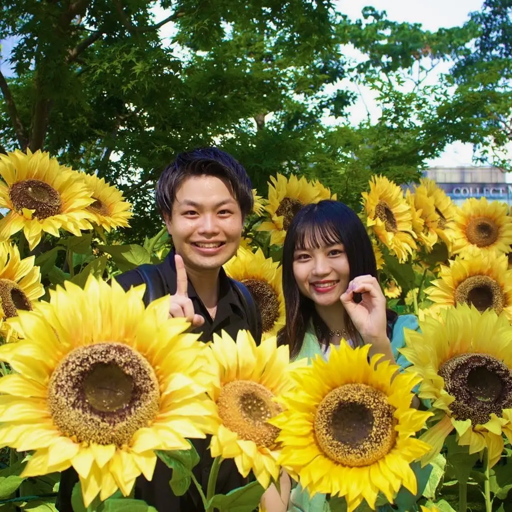 ひまわり畑で取材する奈良ランド